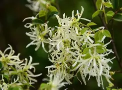 九游体育入口-☆Z縃?▍僕k迗碶瘀%05v蒀?覙5?邫┺ｌ襩2蝡rsa鄮A刡z轍?桼?蔟?廹U瓩銩?!莂t!纬?叮騵的简单介绍